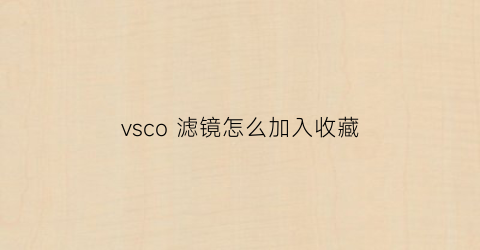 vsco 滤镜怎么加入收藏